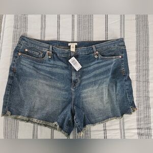 Torrid Festi Denim Shorts